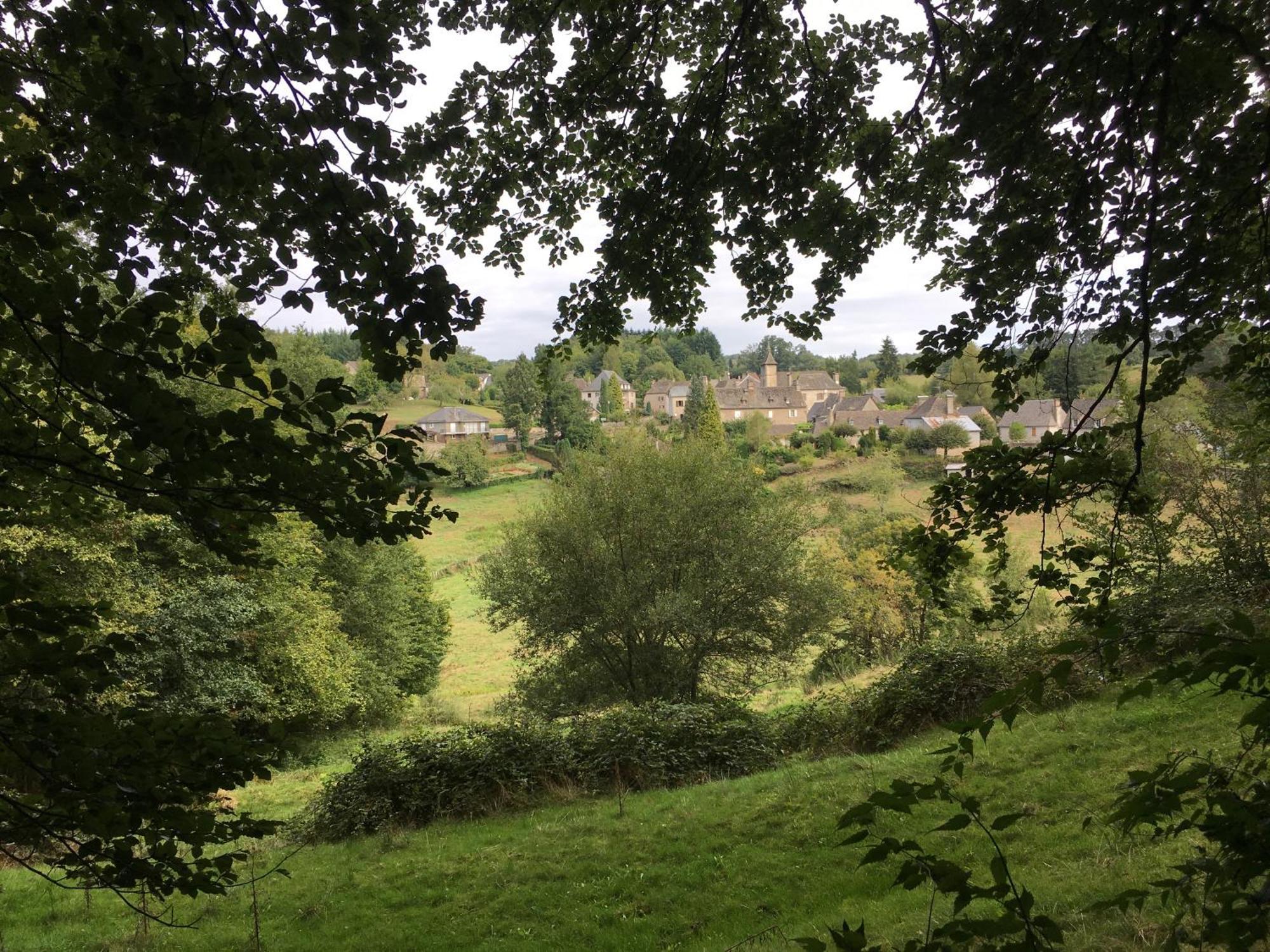Auberge Des Ruines De Merle Saint-Cirgues-la-Loutre Eksteriør billede